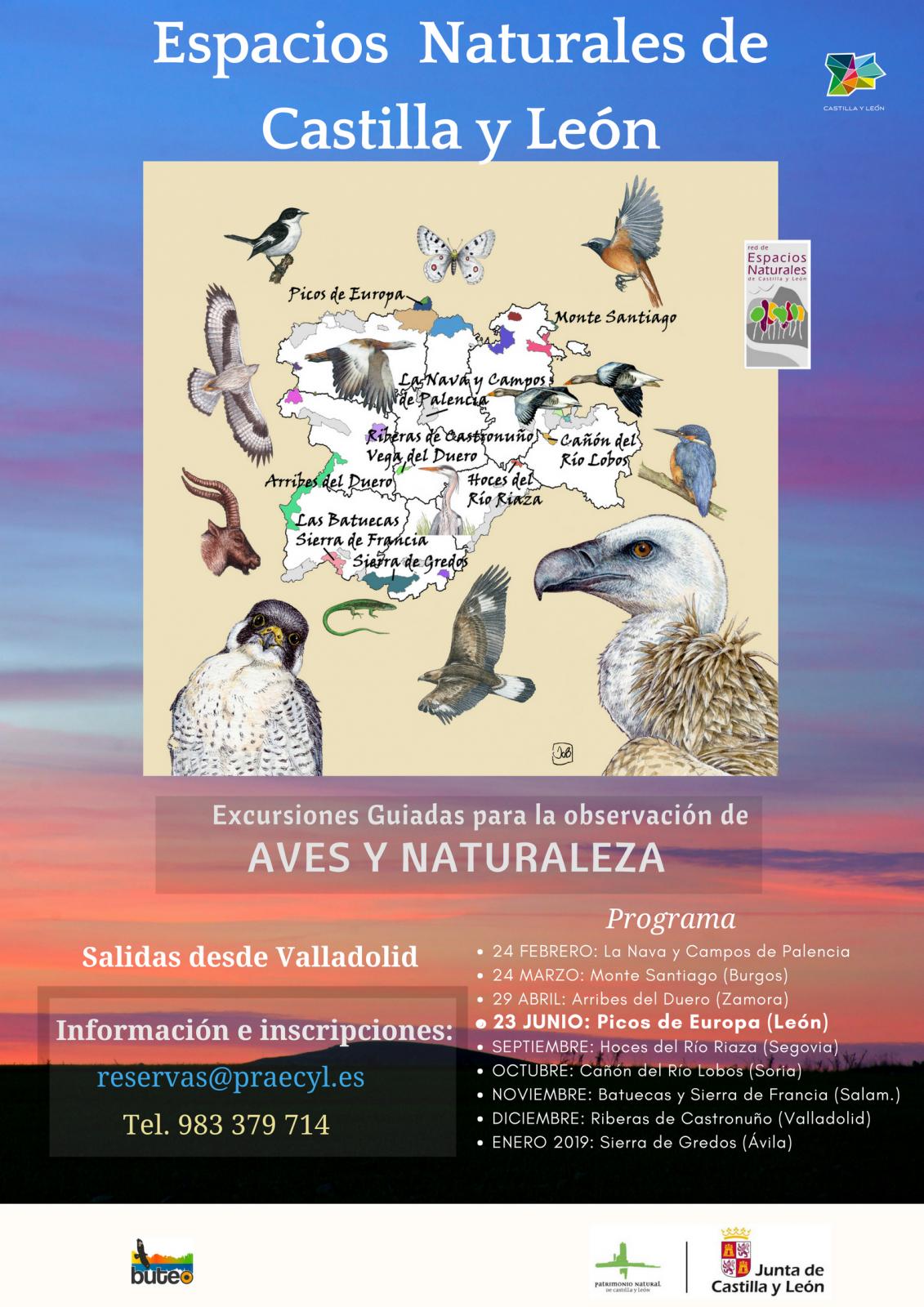Observación de aves y naturaleza en los Espacios Naturales de Castilla y León